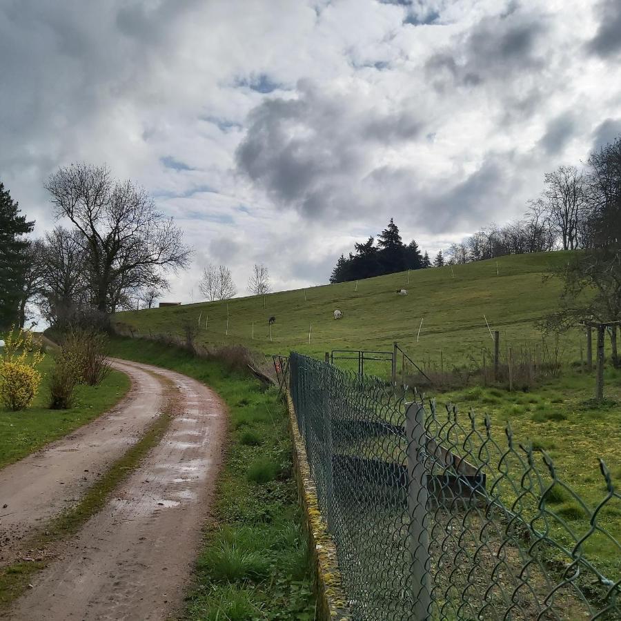 Au Pays D'Angeline Hotell La Pacaudière Exteriör bild